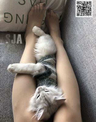 真心英雄电影完整版在线观看