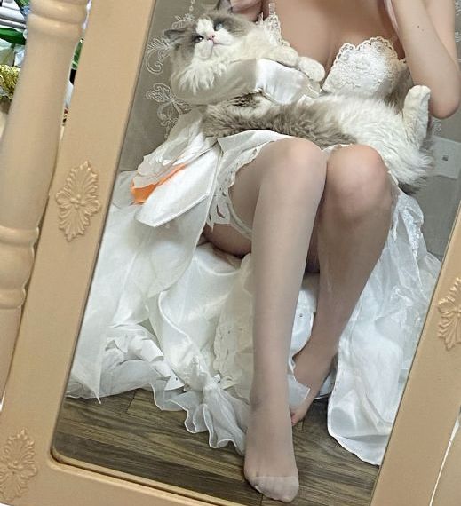 与凤行电视剧免费观看全集高清